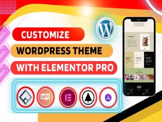 Customize wordpress theme with elementor pro